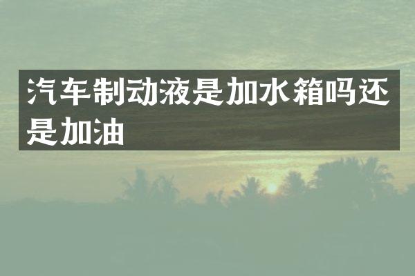 汽车制动液是加水箱吗还是加油