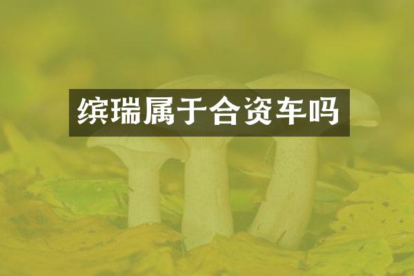 缤瑞属于合资车吗