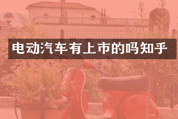 电动汽车有上市的吗知乎