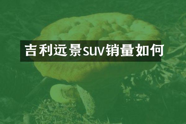 吉利远景suv销量如何