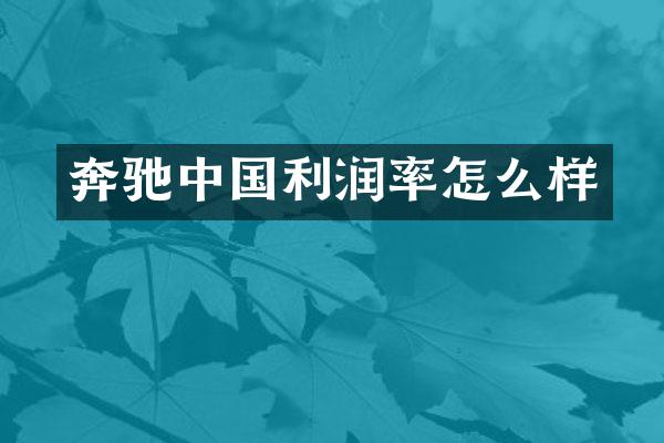 奔驰中国利润率怎么样