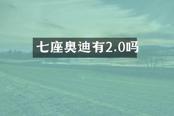 七座奥迪有2.0吗