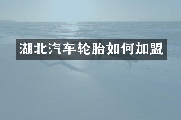 湖北汽车轮胎如何加盟