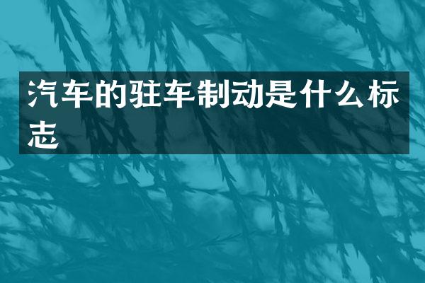 汽车的驻车制动是什么标志