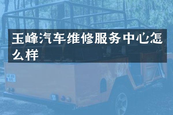 玉峰汽车维修服务中心怎么样