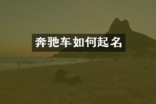 奔驰车如何起名