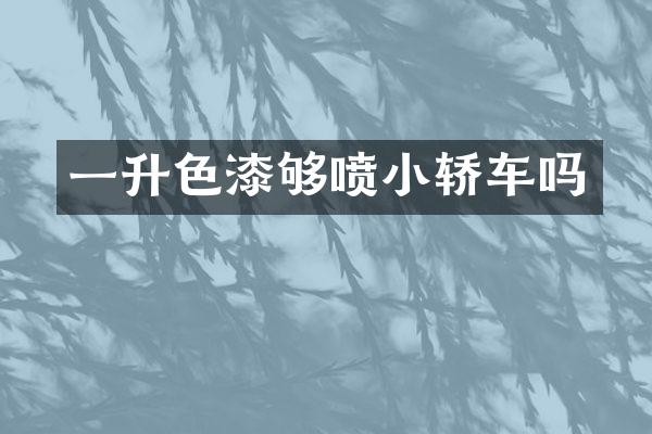 一升色漆够喷小轿车吗