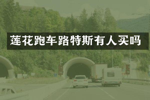 莲花跑车路特斯有人买吗