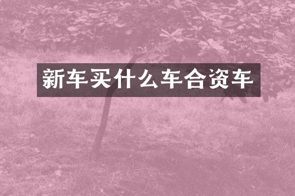 新车车合资车