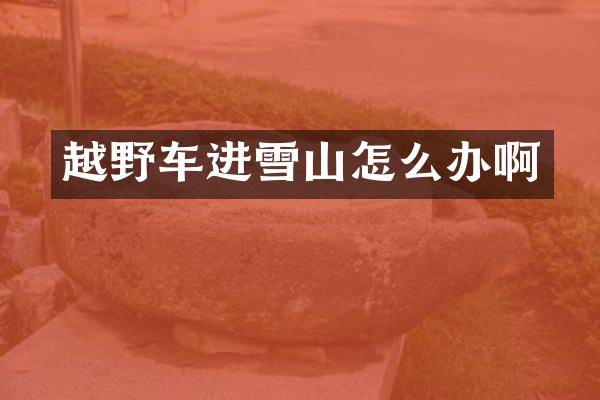 越野车进雪山怎么办啊