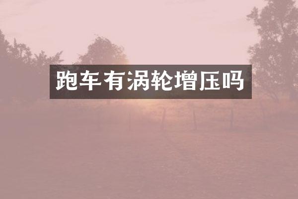 跑车有涡轮增压吗