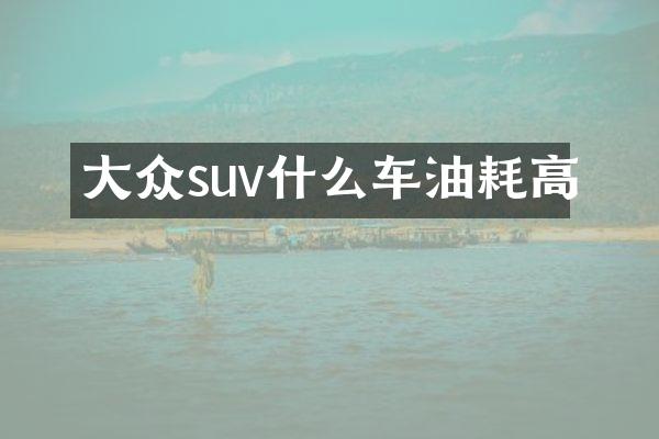 大众suv什么车油耗高