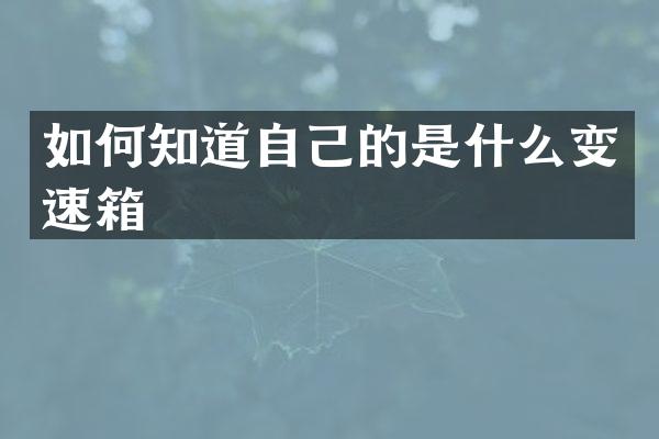 如何知道自己的是什么变速箱