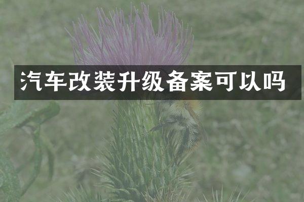 汽车改装升级备案可以吗