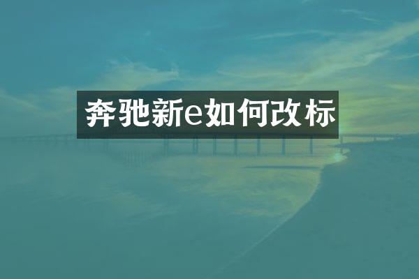 奔驰新e如何改标