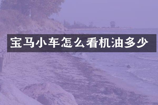 宝马小车怎么看机油多少