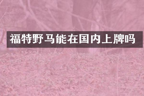 福特野马能在国内上牌吗