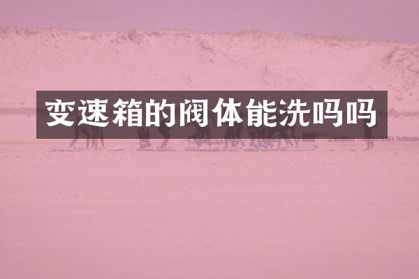 变速箱的阀体能洗吗吗
