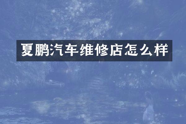 夏鹏汽车维修店怎么样
