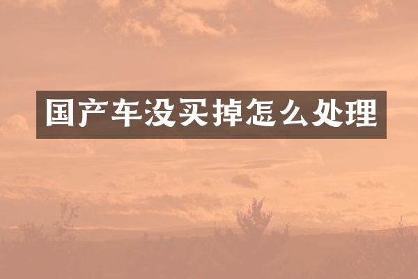 国产车没买掉怎么处理