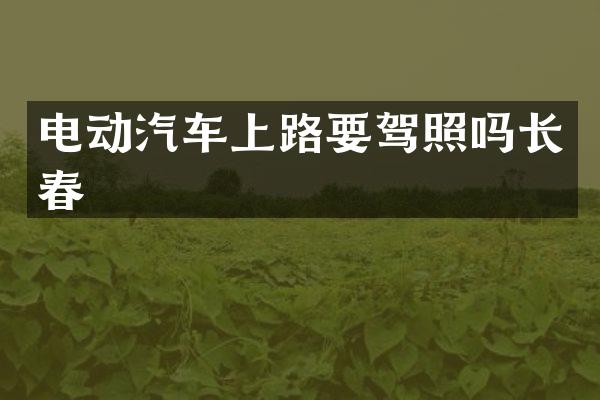 电动汽车上路要驾照吗长春