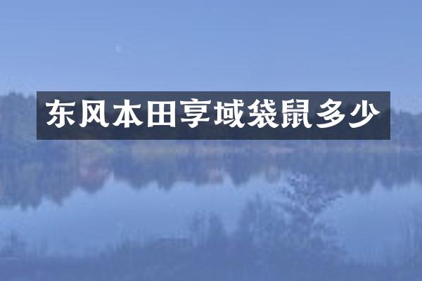 东风本田享域袋鼠多少