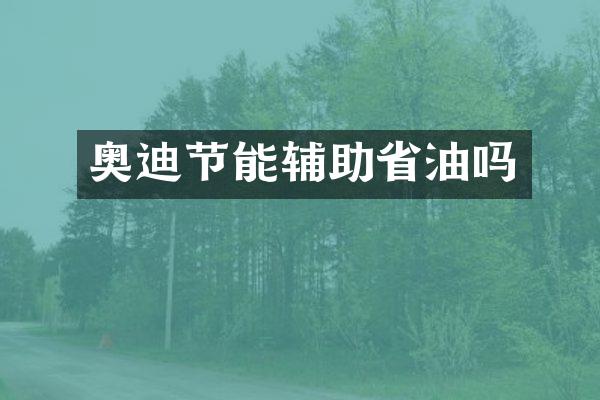 奥迪节能辅助省油吗