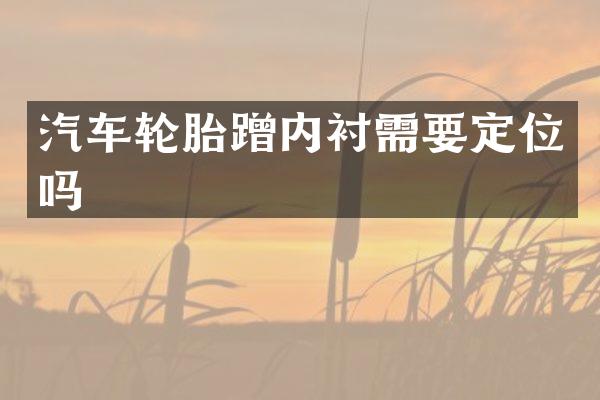 汽车轮胎蹭内衬需要定位吗