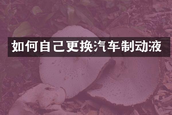 如何自己更换汽车制动液