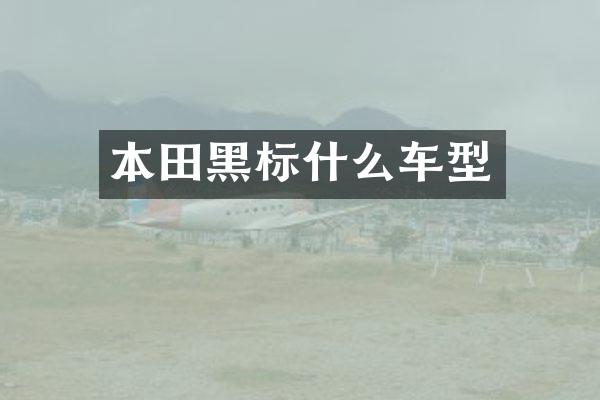 本田黑标什么车型