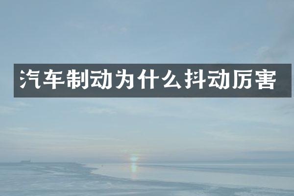 汽车制动为什么抖动厉害
