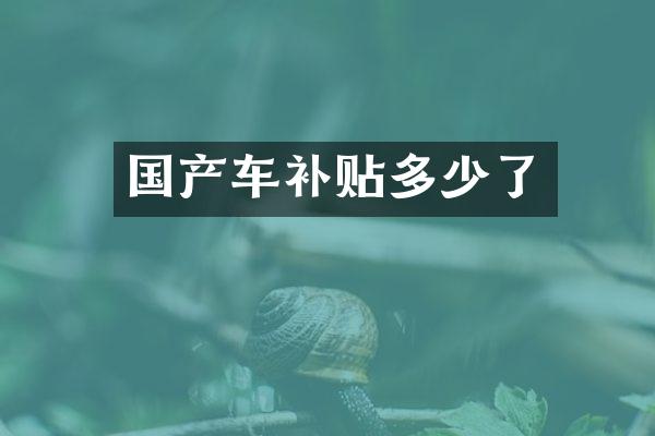 国产车补贴多少了