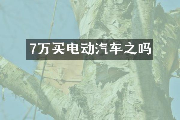 7万买电动汽车之吗