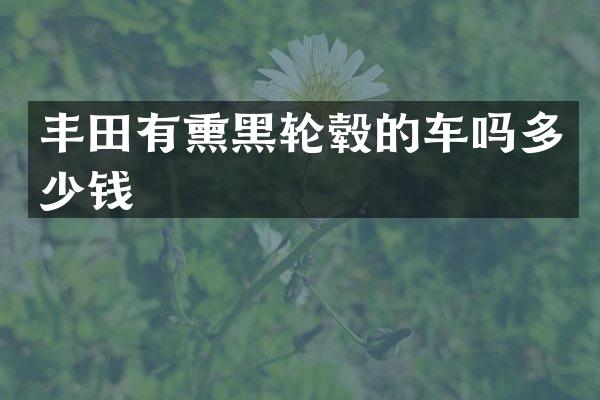 丰田有熏黑轮毂的车吗多少钱