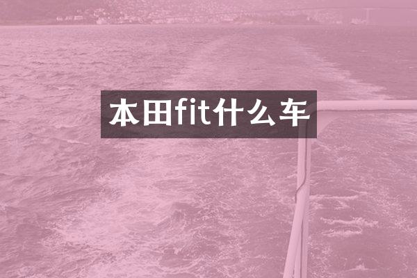 本田fit什么车