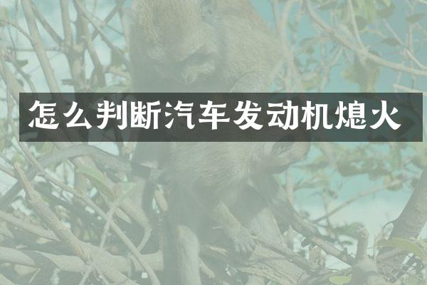怎么判断汽车发动机熄火
