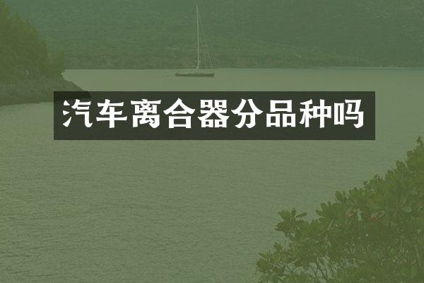 汽车离合器分品种吗