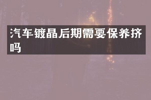 汽车镀晶后期需要保养挤吗