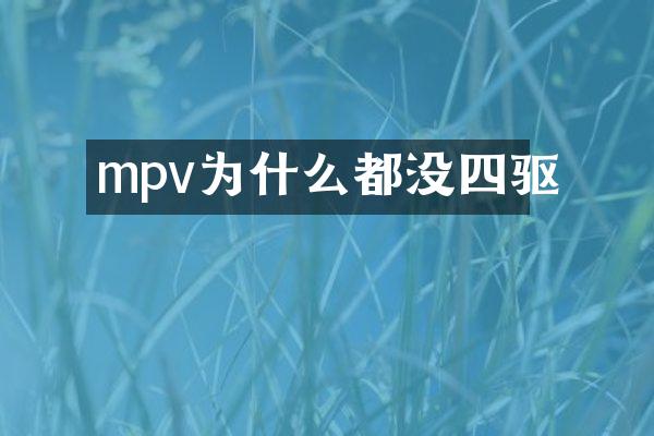 mpv为什么都没四驱