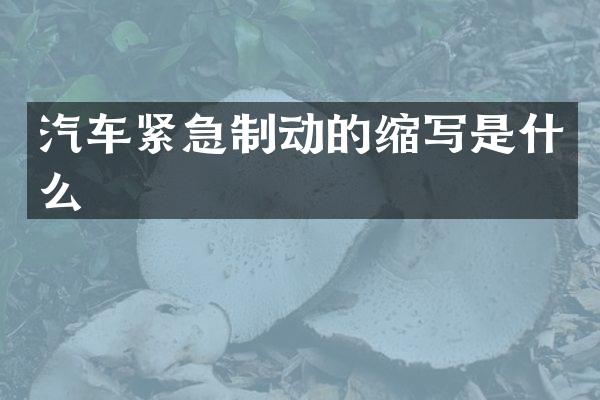 汽车紧急制动的缩写是什么
