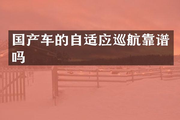 国产车的自适应巡航靠谱吗