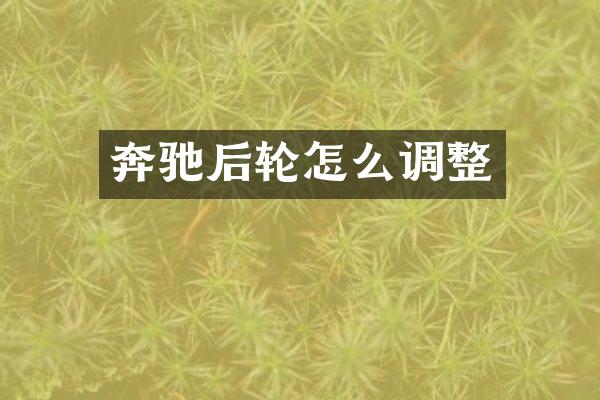 奔驰后轮怎么调整