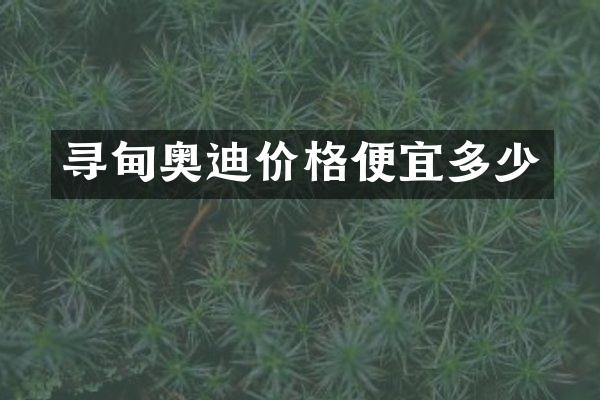 寻甸奥迪价格便宜多少