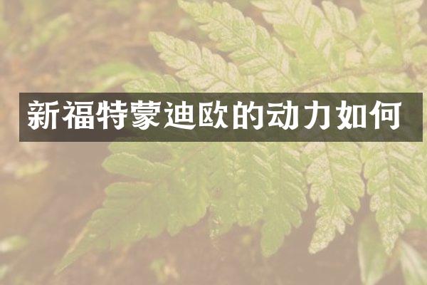 新福特蒙迪欧的动力如何