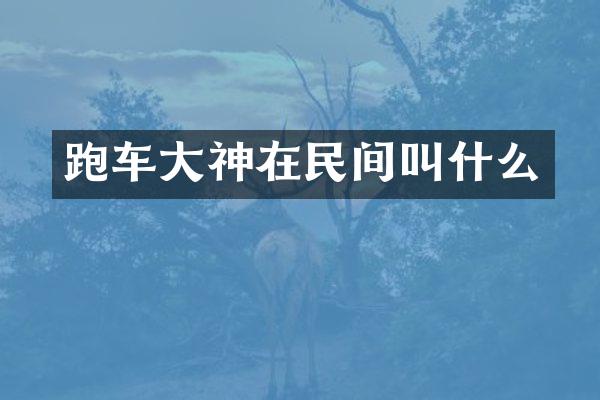 跑车大神在民间叫什么