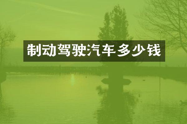 制动驾驶汽车多少钱