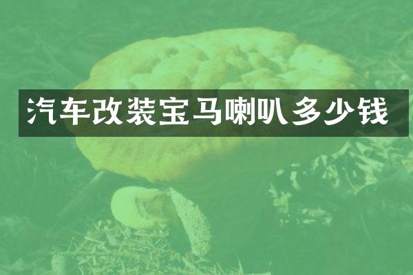 汽车改装宝马喇叭多少钱