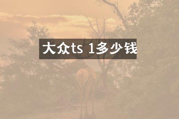 大众ts 1多少钱