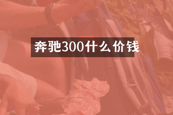 奔驰300什么价钱