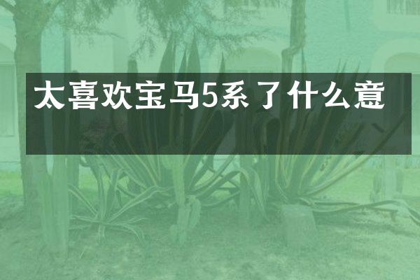 太喜欢宝马5系了什么意思